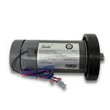 405560, L-405560 Treadmill DC Drive Motor with Flywheel, 3.0 HP 130 VDC 2238 Watts, Fit for NordicTrack C 990/C 900 I/C 950I/C 910I/NT C 950I, for ProForm Performance 800I/THINELINE PRODESK/Power 795