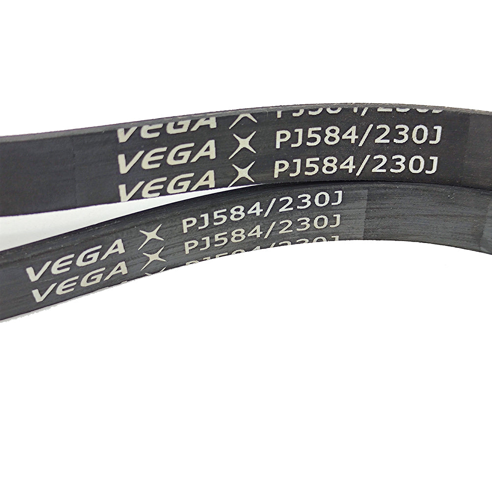 Cinghia VEGA 8PJ556 - Cinghia Di Trasmissione Per Tapis Roulant Cinghia VEGA 8PJ556 - Cinghia Di Trasmissione Per Tapis Roulant